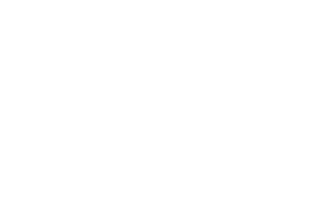 Tribe Brothers LTD Logo